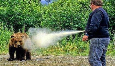 Can You Take Bear Spray into Canada? And Why Do Bears Hate Jazz Music?